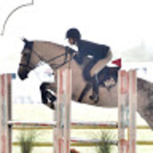 Meet your Posher, Quinn